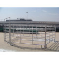 galvanized / PVC coated horse fence for factory